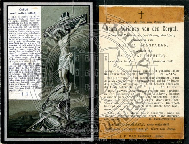 Scan