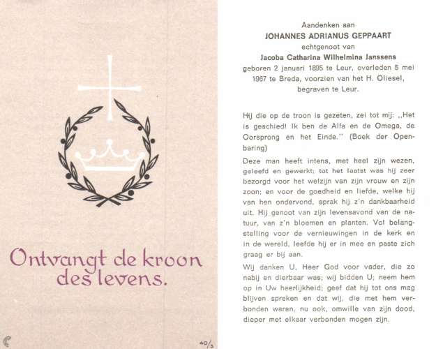 Scan