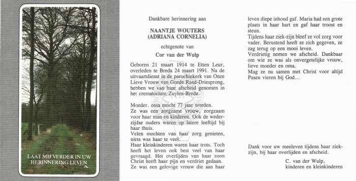 Scan